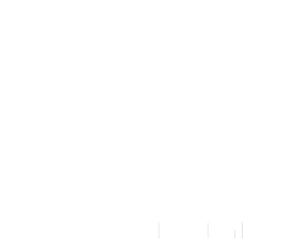 Logo DLR